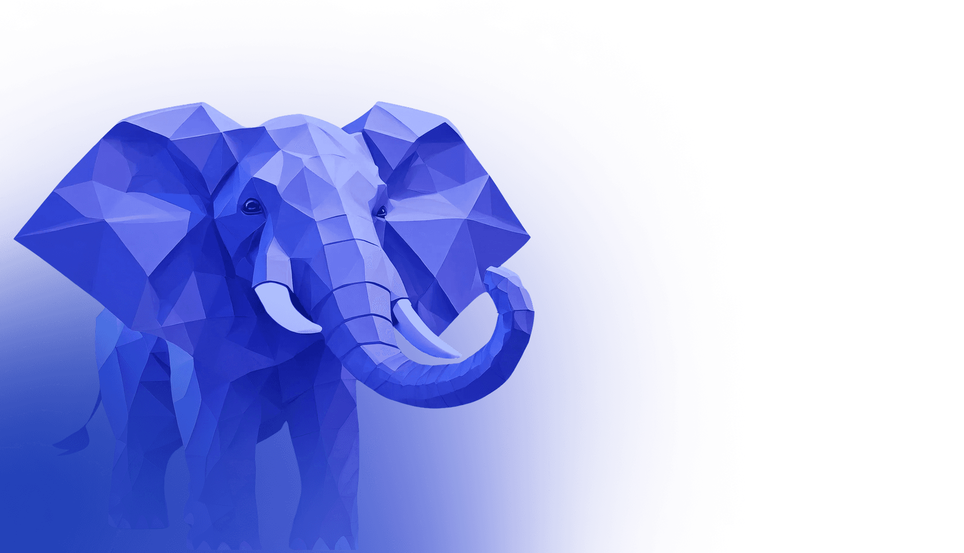 Offer elephant
