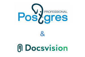 Postgres professional