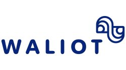 Логотип Первая Мониторинговая Компания