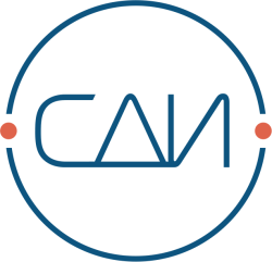 Логотип СДИ Софт